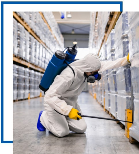 Disinfestazioni Milano: derattizzazione e deblattizzazione 